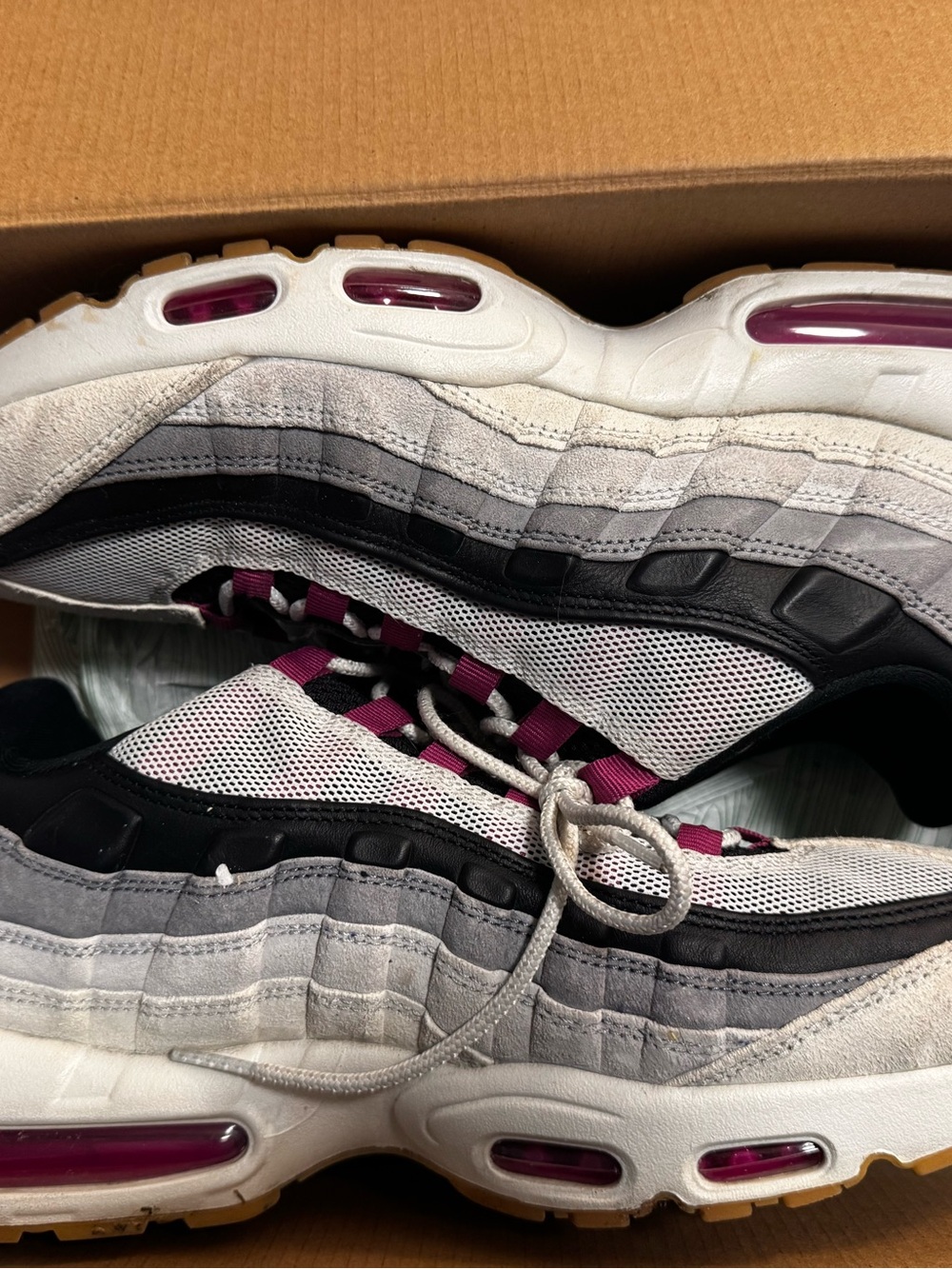 Nike air max 95 cactus flower SB shoe men’s size 12